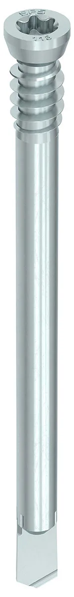 HECO-WS 7 x 233, Zylinderkopf, T-Drive, T-40, Unterkopfgewinde, A2K, 50 Stück