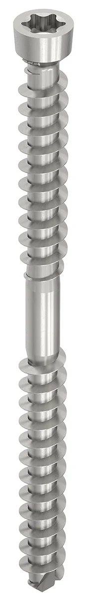 WT-S A2 6,5 x 90, Zylinderkopf, T-Drive, T-30, Unterkopfgewinde, 100 Stück