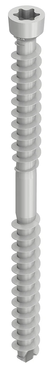 WT-T 4,5 x 40, Zylinderkopf, T-Drive, T-20, Unterkopfgewinde, Durocoat, 200 Stück