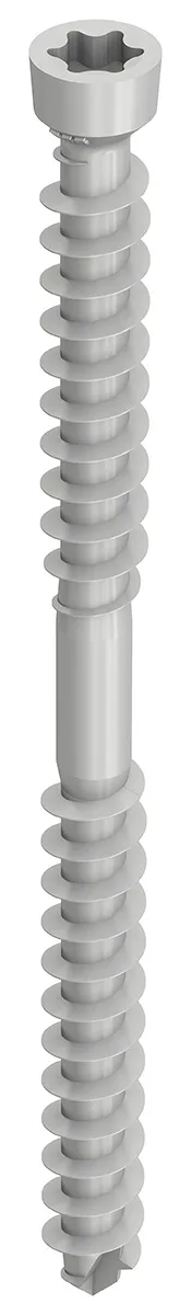 WT-T 4,5 x 40, Zylinderkopf, T-Drive, T-20, Unterkopfgewinde, Durocoat, 200 Stück