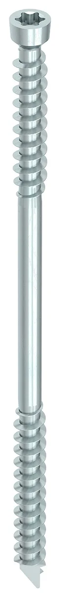 WT-T 6,5 x 90, Zylinderkopf, T-Drive, T-30, Unterkopfgewinde, A3K, 100 Stück