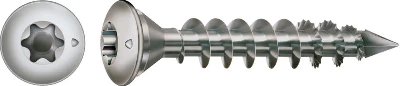 Pfostenschraube Edelstahl A1, 8mm, x 50 mm, 50 Stk. - Profi Box